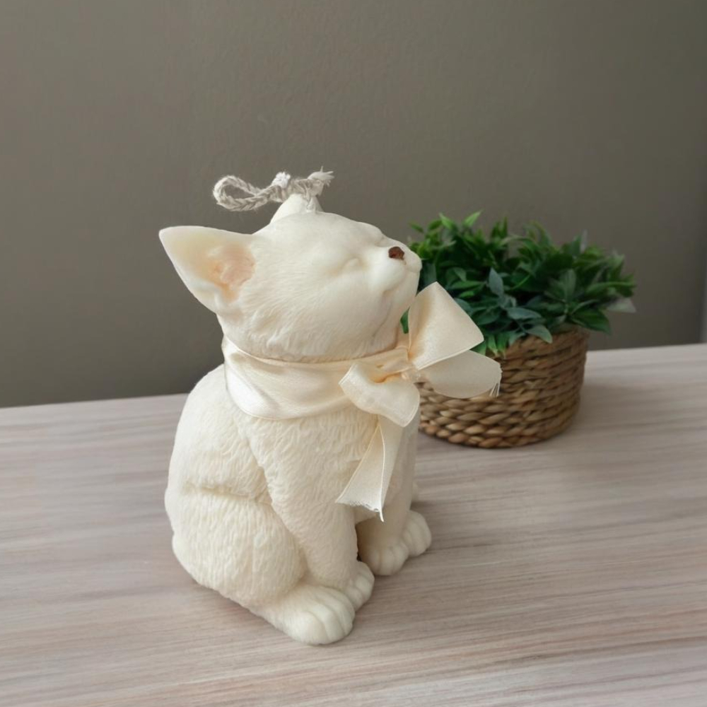 Smile Cat Silicone Mold for DI - Soap Making Business บทวิจารณ์และราคา